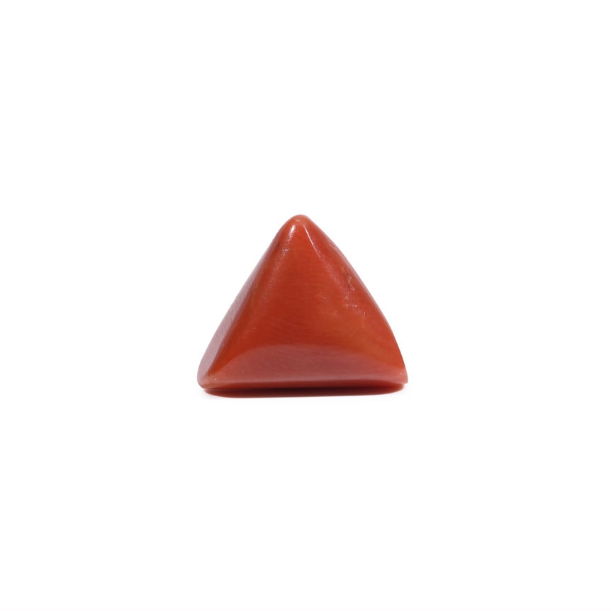 Red Coral - 6.3 Carat