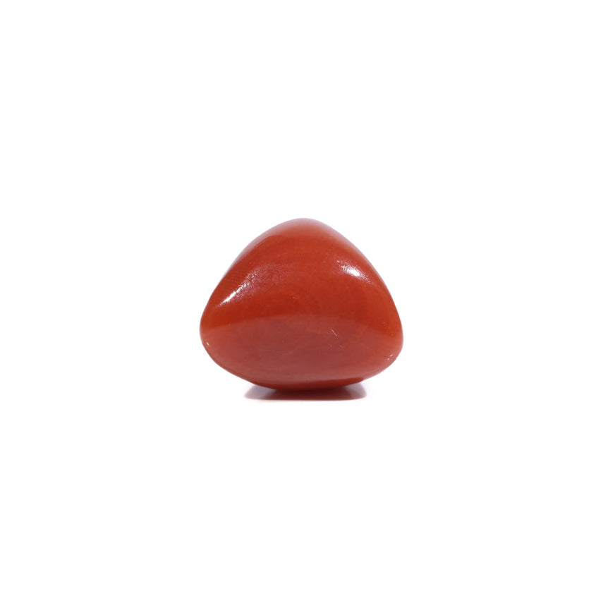 Red Coral - 5.45 Carat