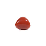 Red Coral - 5.45 Carat