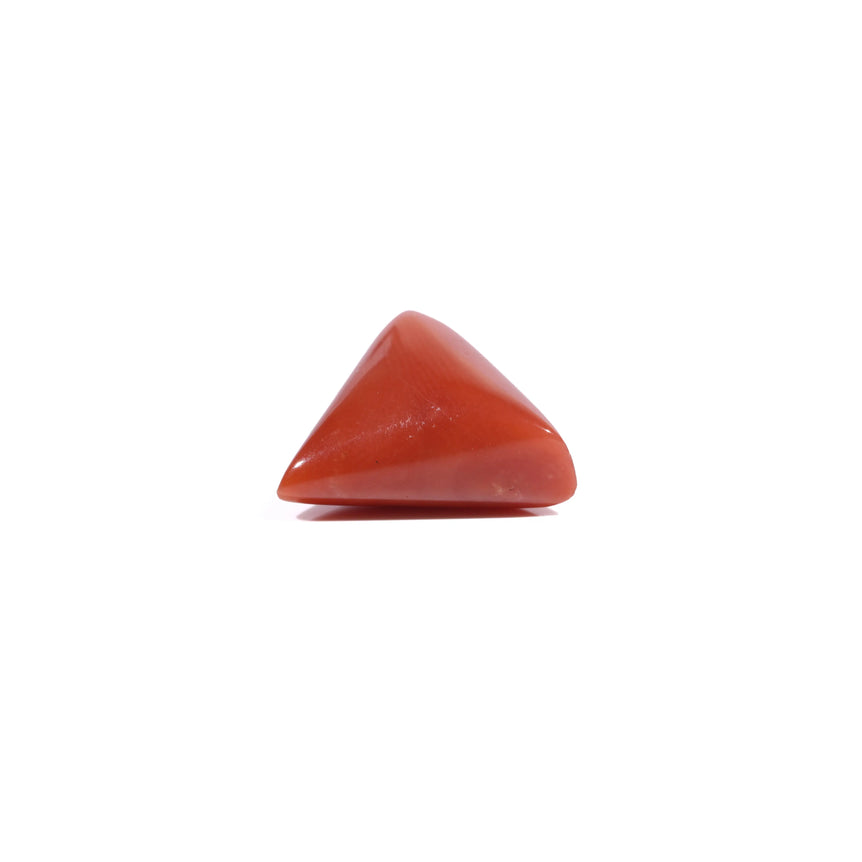 Red Coral - 5.85 Carat