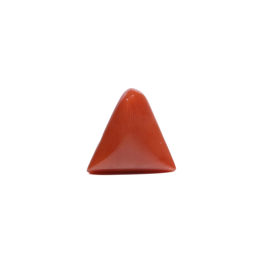 Red Coral - 5.8 Carat