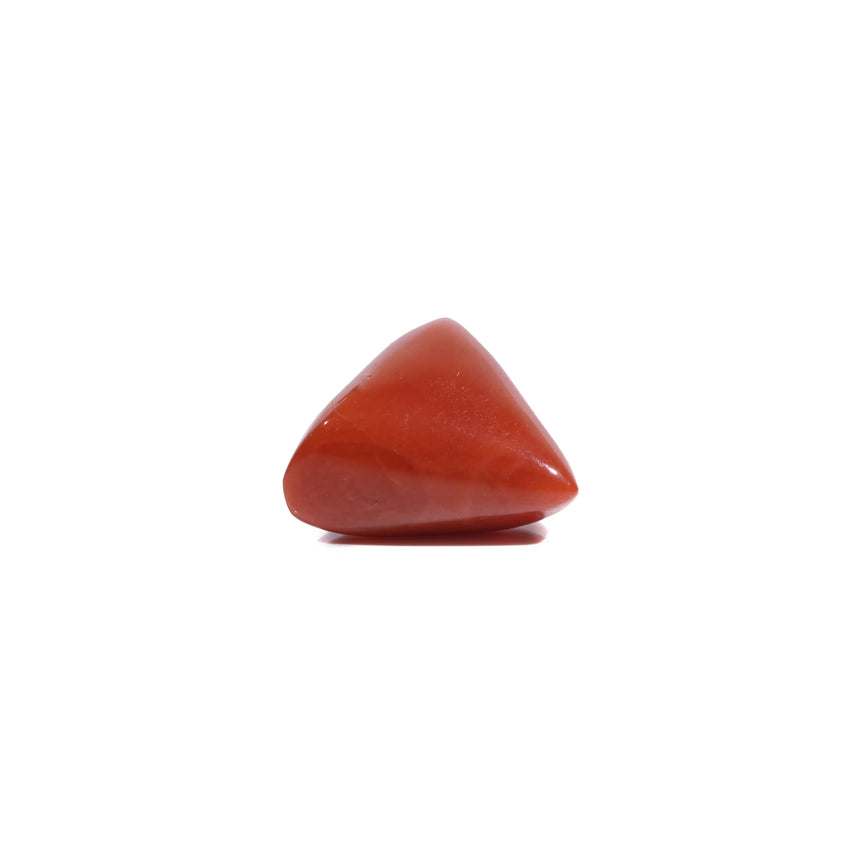 Red Coral - 5.4 Carat