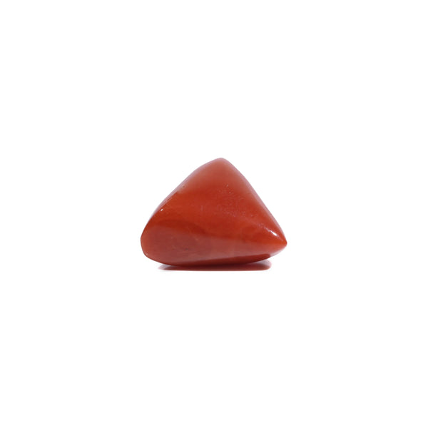 Red Coral - 5.4 Carat