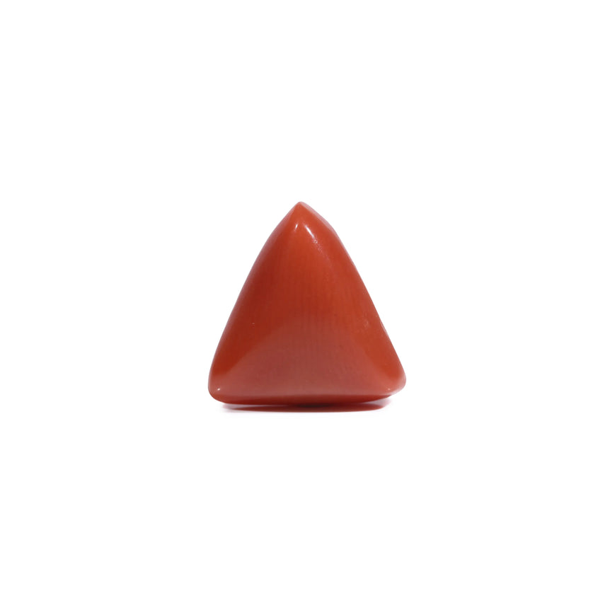  Red Coral - 5.6 Carat - Pramogh