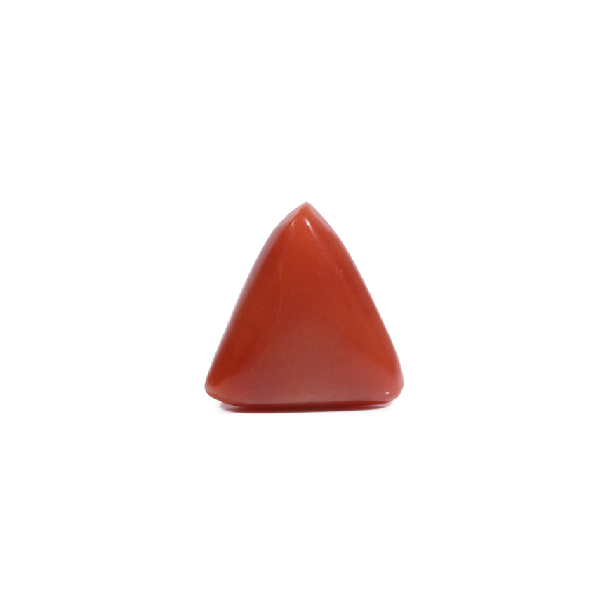 Red Coral - 5.6 Carat