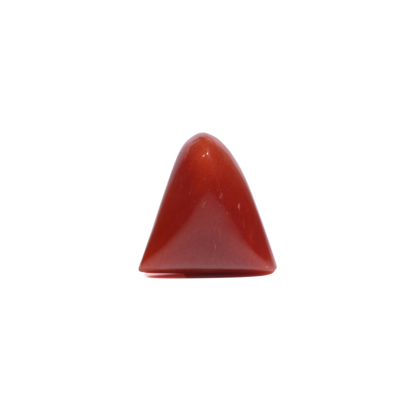  Red Coral - 5.55 Carat - Pramogh