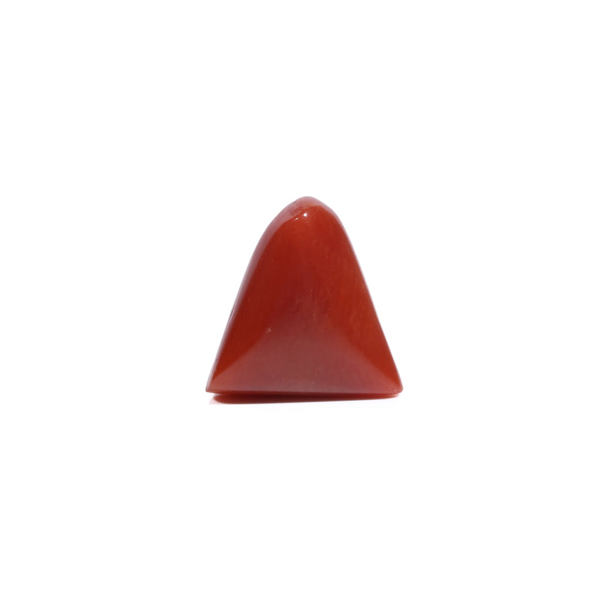 Red Coral - 5.55 Carat
