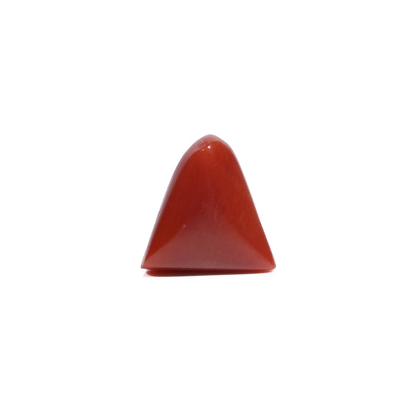 Red Coral - 5.55 Carat