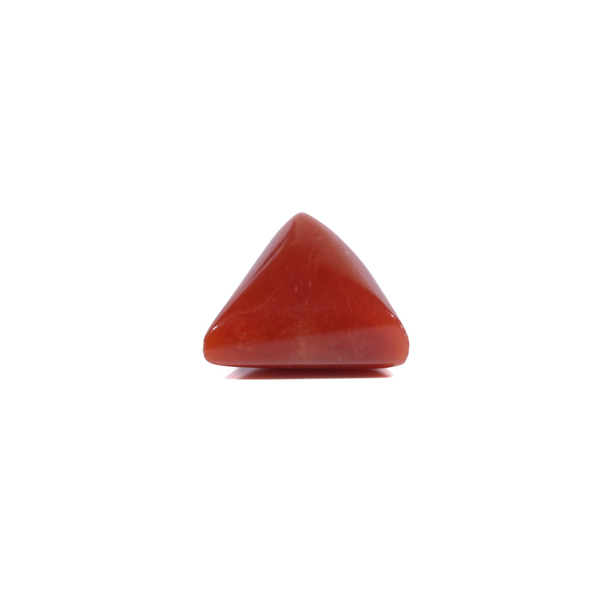 Red Coral - 5.55 Carat