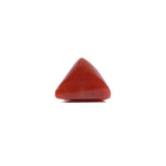 Red Coral - 5.55 Carat