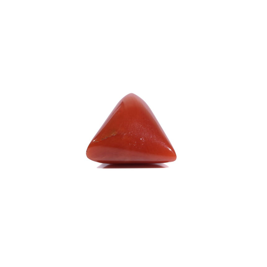 Red Coral - 5.85 Carat