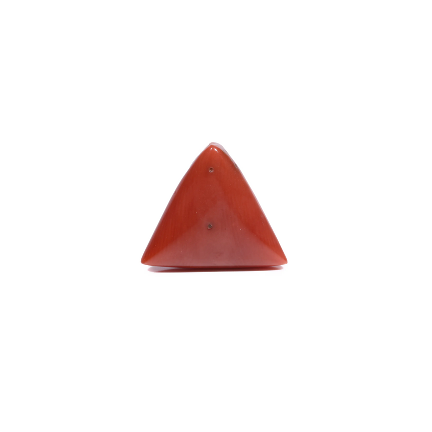 Red Coral - 6.05 Carat