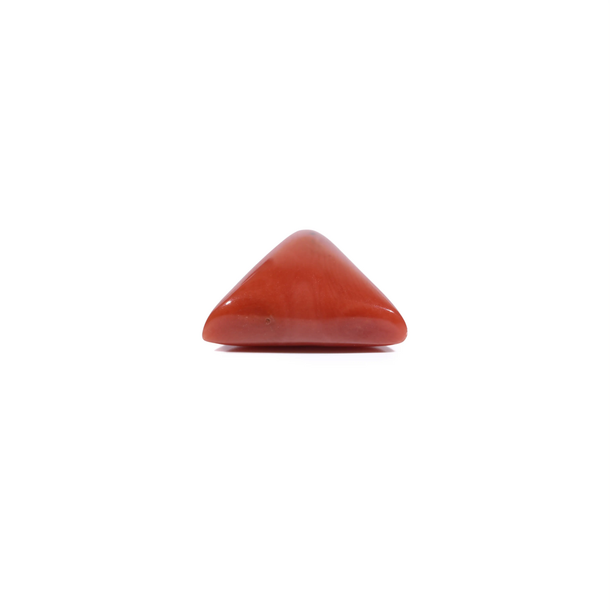 Red Coral - 6.05 Carat