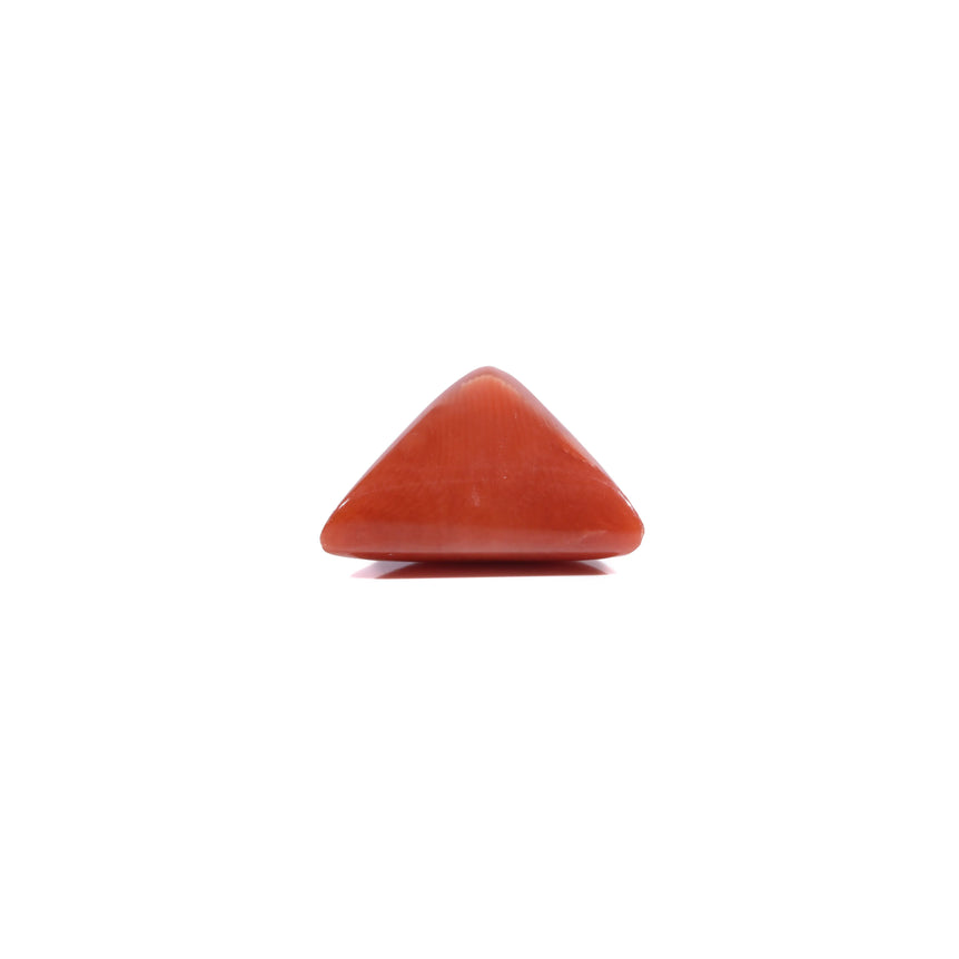 Red Coral - 5.85 Carat