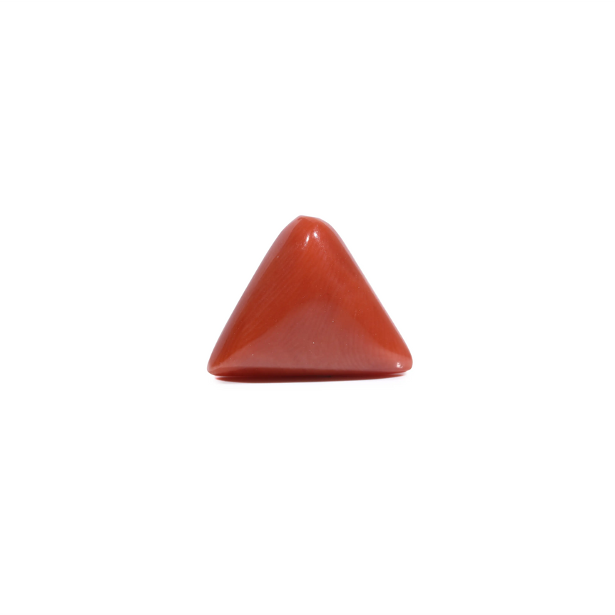 Red Coral - 5.5 Carat