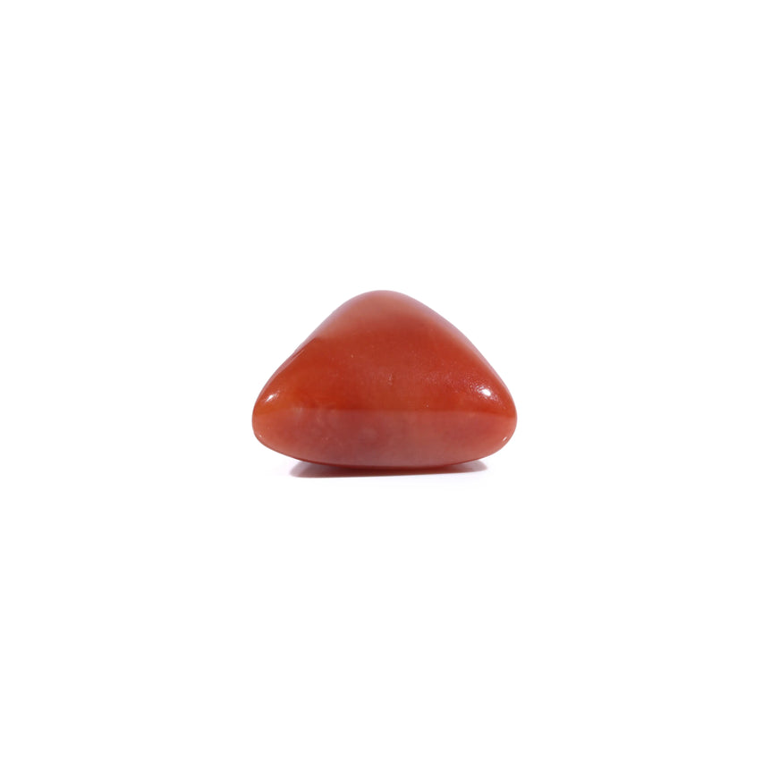 Red Coral - 5.45 Carat