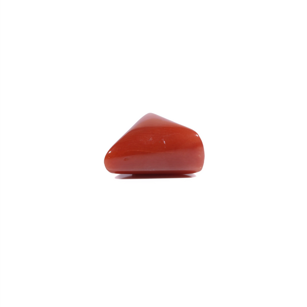Red Coral - 6.1 Carat