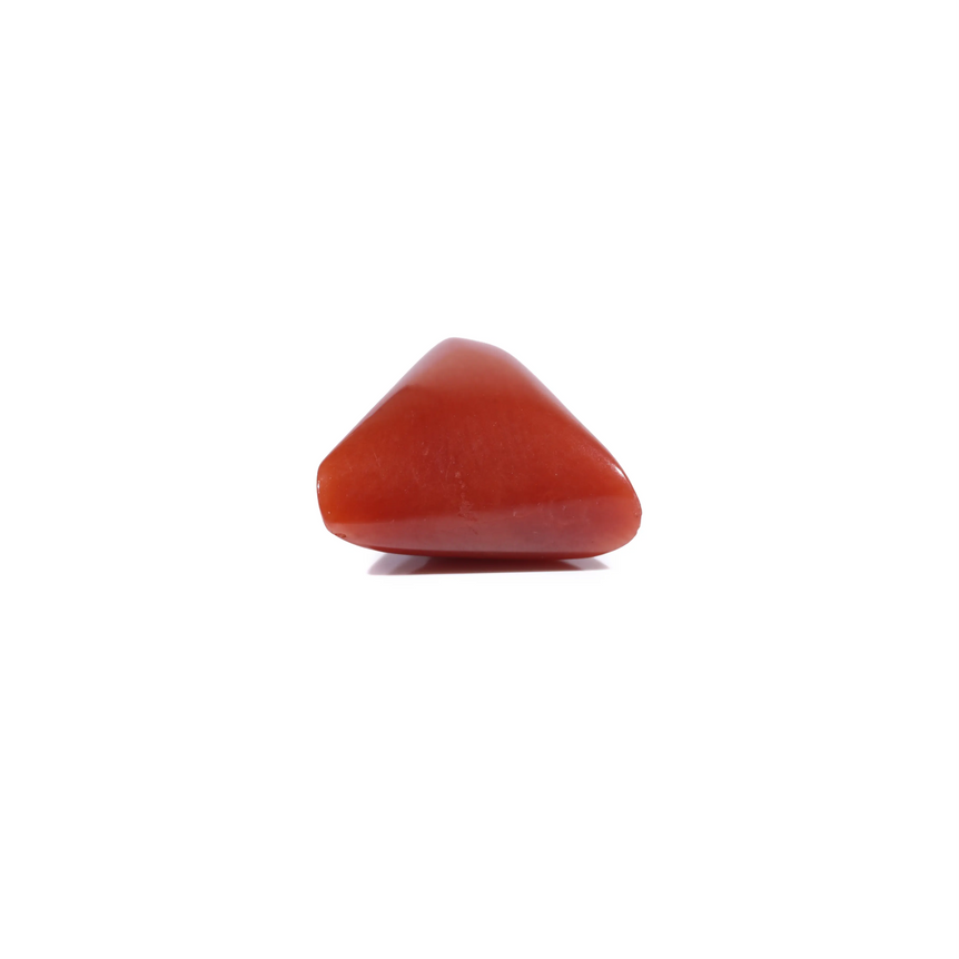 Red Coral - 5.45 Carat