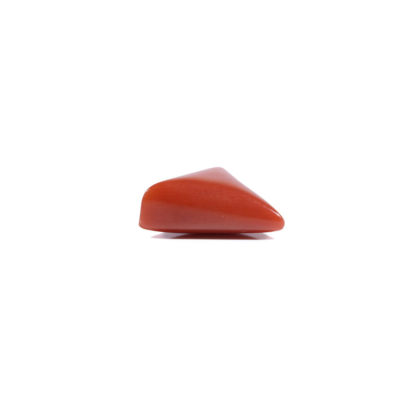 Red Coral - 5.5 Carat