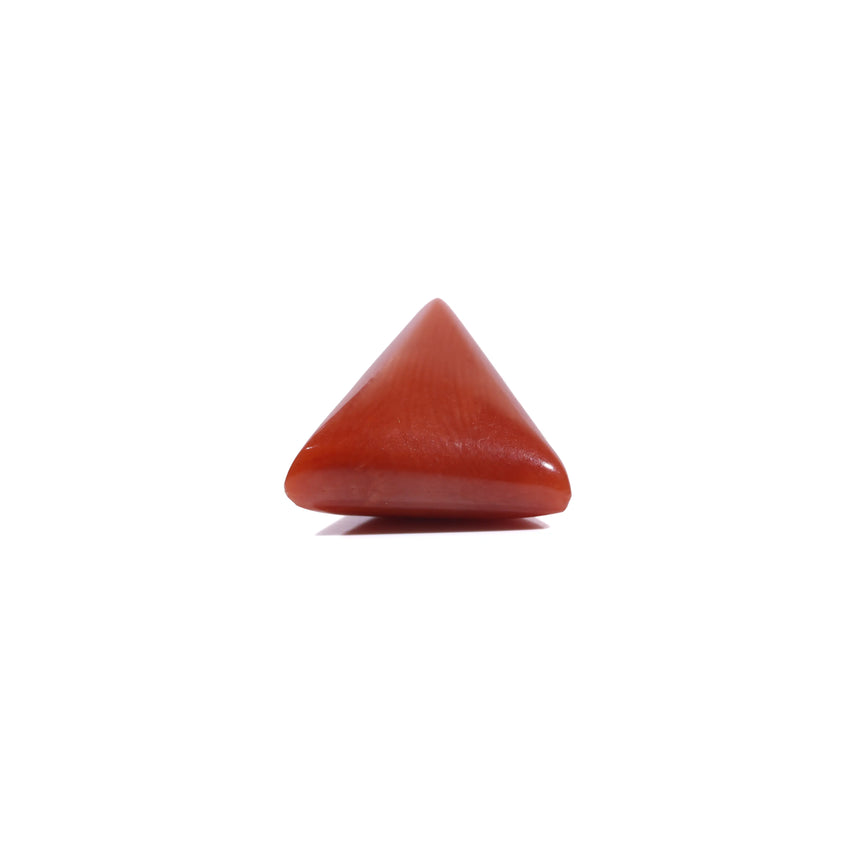 Red Coral - 5.45 Carat