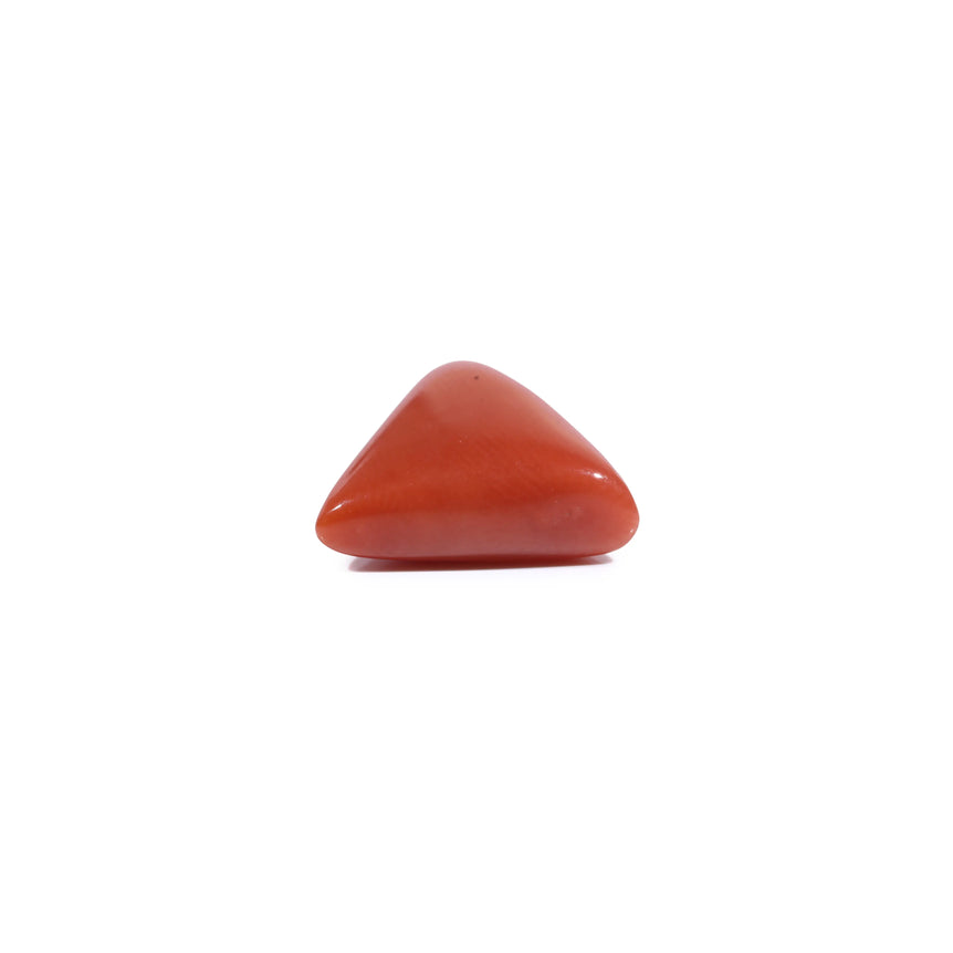 Red Coral - 5.4 Carat