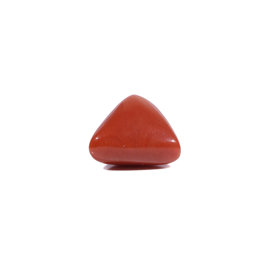 Red Coral - 5.6 Carat