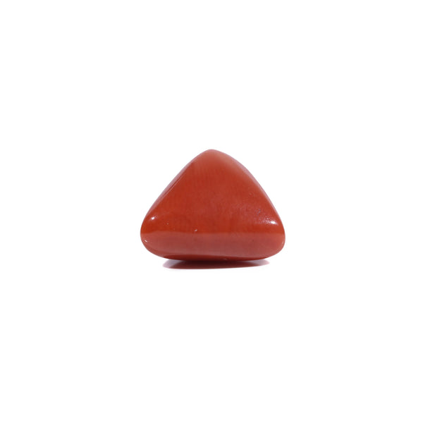 Red Coral - 5.6 Carat