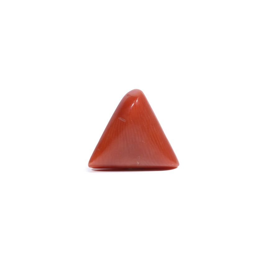  Red Coral - 5.55 Carat - Pramogh