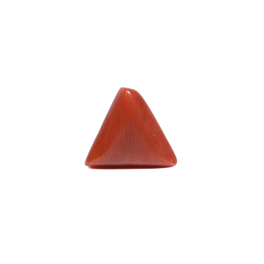 Red Coral - 5.55 Carat