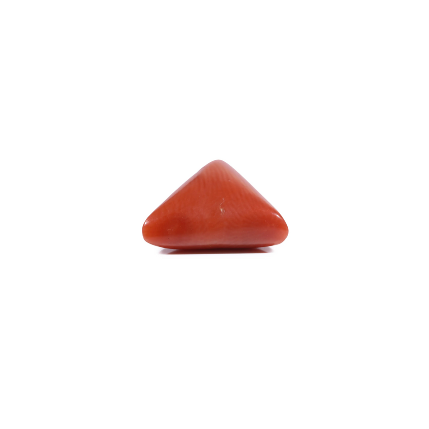 Red Coral - 5.55 Carat