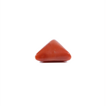 Red Coral - 5.55 Carat