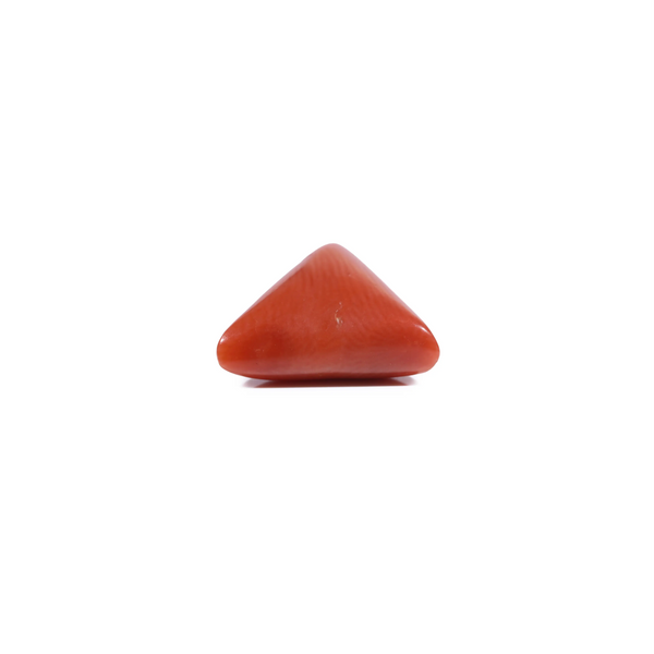 Red Coral - 5.55 Carat