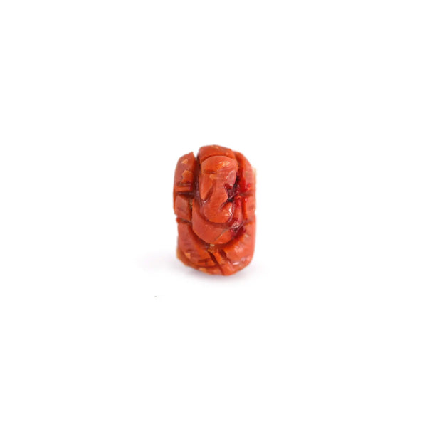 Red Coral - 7.2 Carat