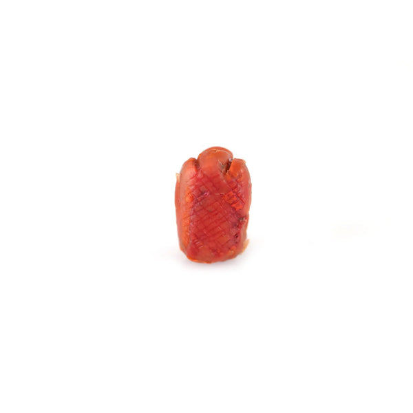 Red Coral - 7.2 Carat