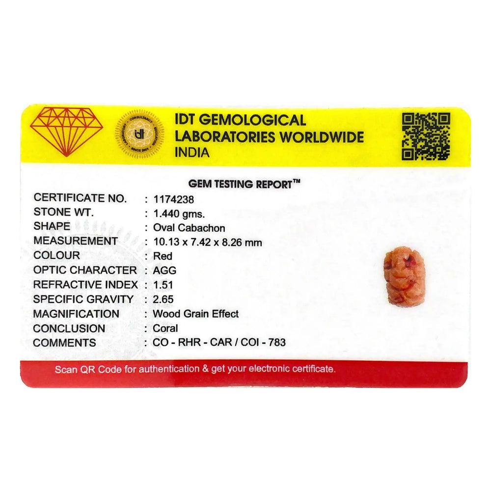 Red Coral - 7.2 Carat - Pramogh