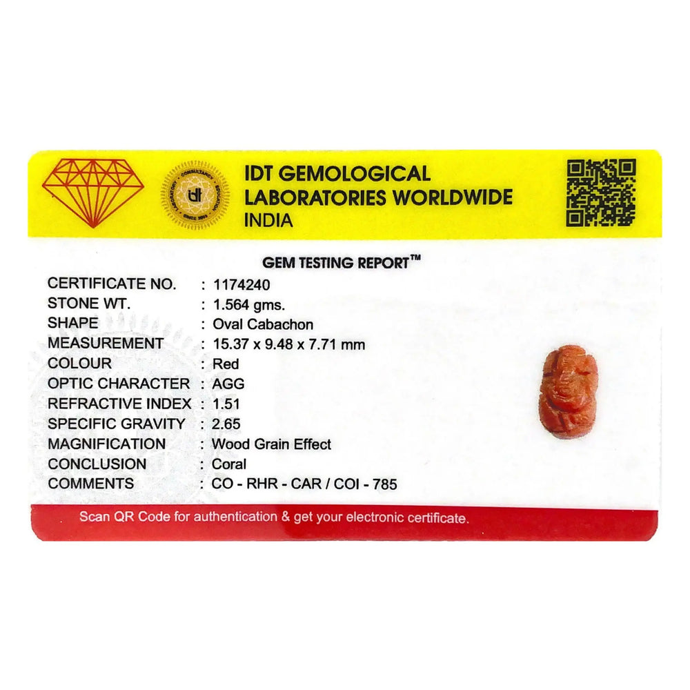 Red Coral - 7.82 Carat - Pramogh