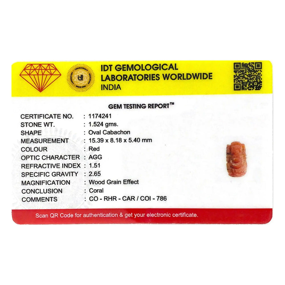 Red Coral - 7.62 Carat - Pramogh