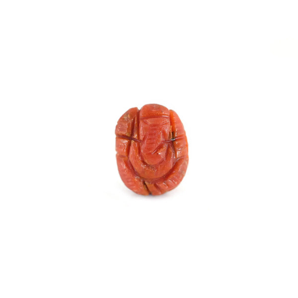 Red Coral - 7.84 Carat