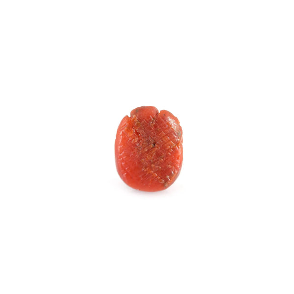 Red Coral - 7.84 Carat