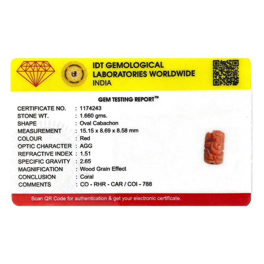 Red Coral - 8.3 Carat - Pramogh