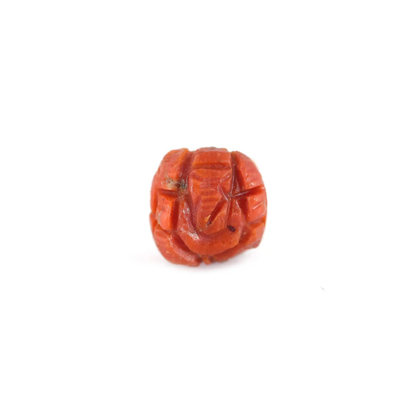 Red Coral - 4.81 Carat - Pramogh