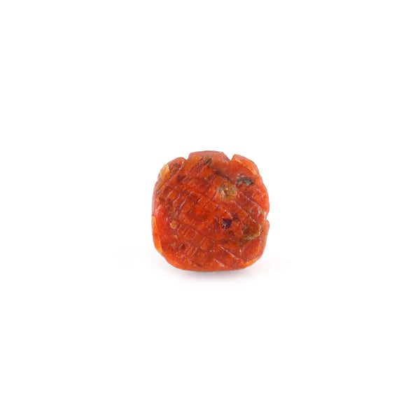 Red Coral - 4.81 Carat - Pramogh