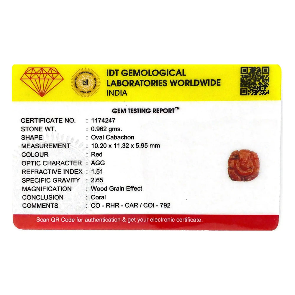 Red Coral - 4.81 Carat - Pramogh