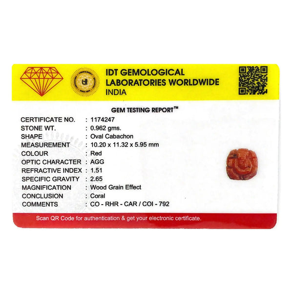 Red Coral - 4.81 Carat - Pramogh