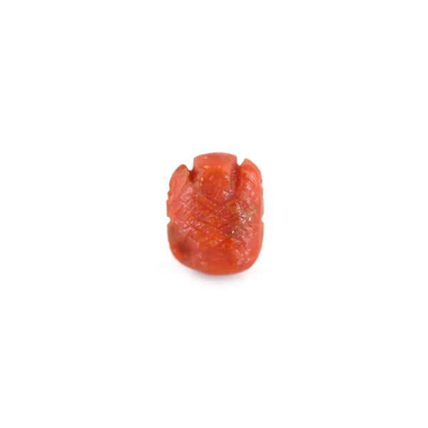 Red Coral - 5.48 Carat