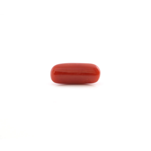 Red Coral - 5.4 Carat