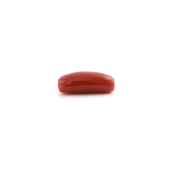 Red Coral - 5.4 Carat