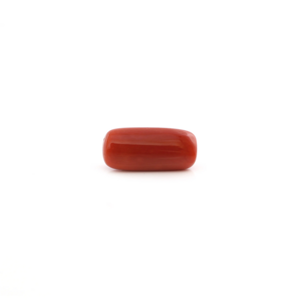 Red Coral - 5.6 Carat