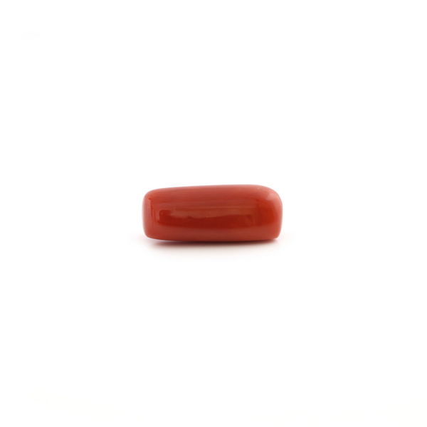 Red Coral - 5.6 Carat