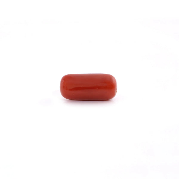 Red Coral - 5.55 Carat - Pramogh